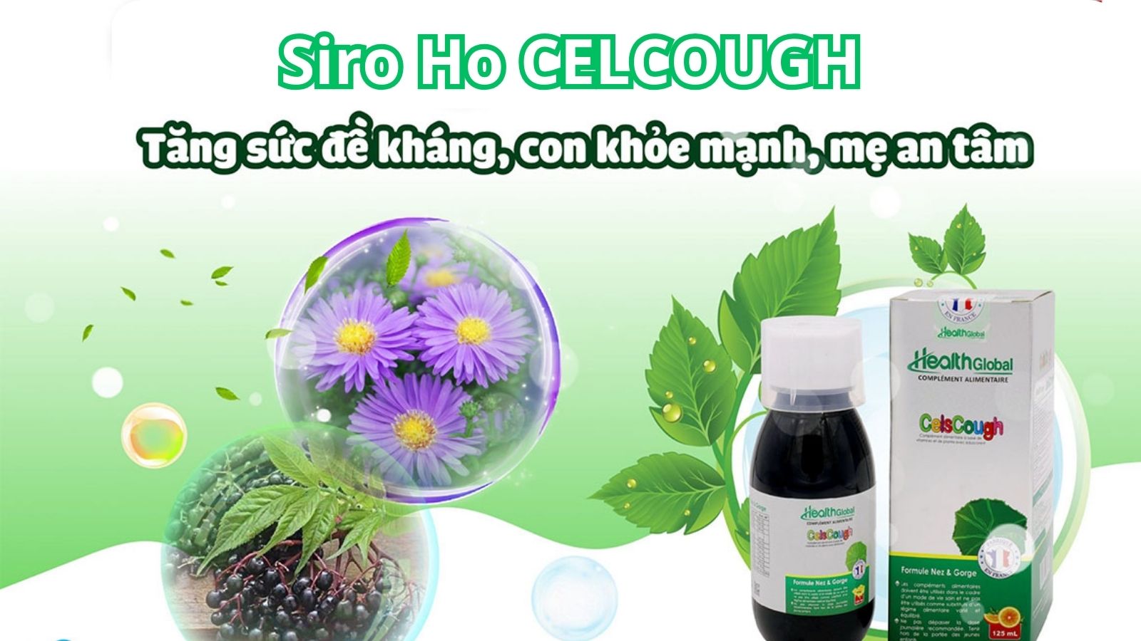 siro-ho-celcough-tang-suc-de-khang-con-khoe-me-an-tam-01